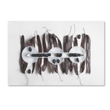 Trademark Fine Art Dimitar Lazarov 'Olives' Canvas Art, 30x47 1X00607-C3047GG